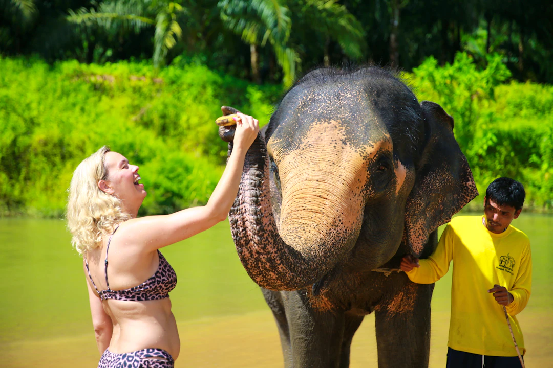 Khao Sok Day Trip Price